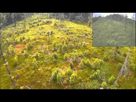 Totholz Racing13 06 2015