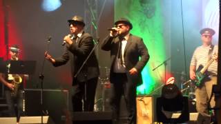 Bachus Brothers Shake a Tail Feather