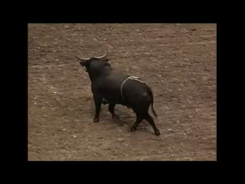 K.J. Pletcher vs Wild Thang - 98 PBR Anaheim (88 pts)