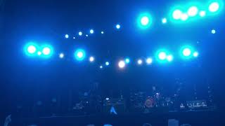 Doves Caught by the River