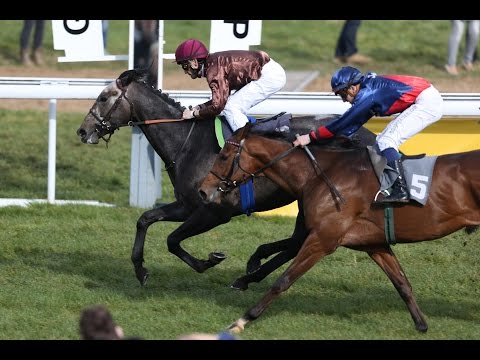 Köln: Preis von deinSchrank.de-Dein Raum (D) - Sieger: Zirconic Star