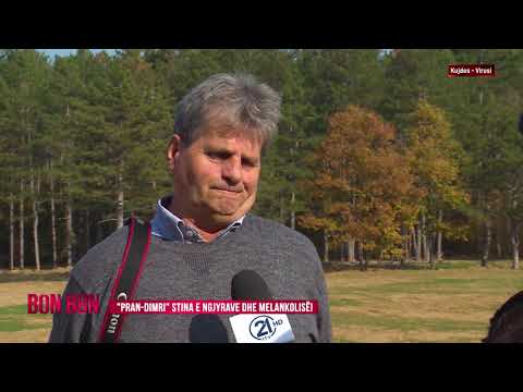 "PRAN-DIMRI" STINA E NGJYRAVE DHE MELANKOLISË! 05.11.2020