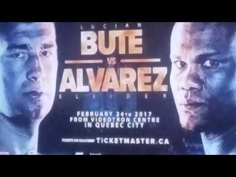 BREAKDOWN & PREDICTION: LUCIAN BUTE VS ELEIDER ALVAREZ WBC LIGHT HEAVYWEIGHT ELIMINATOR 2/24!