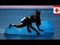 Ice Floe Escape Fail Woman Tries To Escape Police By Going With The Floe TomoNews