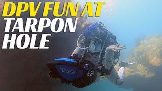 DPV Fun At Tarpon Hole Bermuda - Ep 71