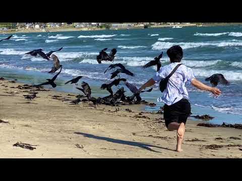 Kamkura Beach, Nepali in Japan