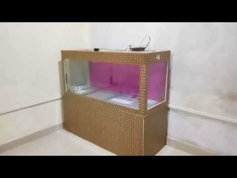 Fish tank setup arowana