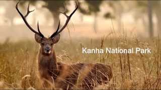India's Soft Power Tourism