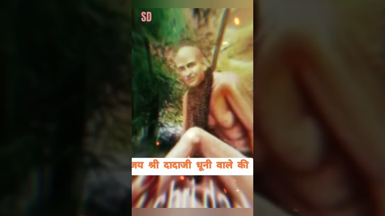 🔥धुनी वाले दादाजी का दिव्य दरवार🙏🔥 #dhuniwaledadaji# shortfeed#viralshorts #sanatandharma #bhakti