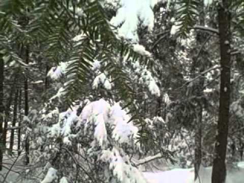 Fimbulwinter: Precursor to Ragnarok