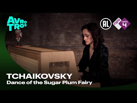 Tchaikovsky: Dance of the Sugar Plum Fairy - Celia García-García - Live concert HD