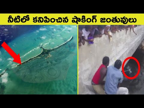 Unexplained things Found In Ocean || T Talks