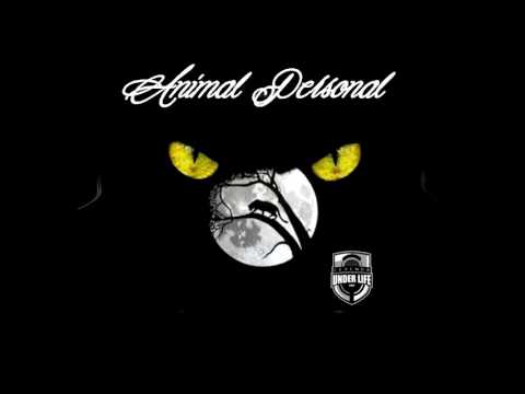 Zooul-Animal Personal