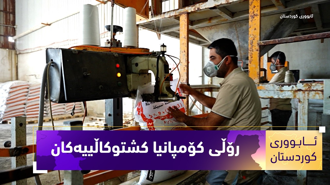 ڤیدیۆ | بەرنامەی (ئابووری کوردستان).....رۆڵی کۆمپانیا کشتوکاڵییەکان لە پەرەپێدانی سێکتەری کشتوکاڵ