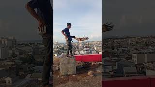 Download lagu Cara melatih burung elang bk #elang #shortvideo mp3