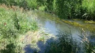 Midday Escapade - Riverside vlogging