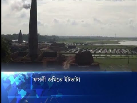 ব্রাহ্মণবাড়িয়ায় ফসলী জমিতে ইটভাটা