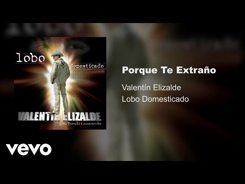 Miniatura de Por que te extraño