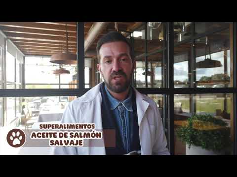 Superalimentos: ACEITE DE SALMÓN SALVAJE