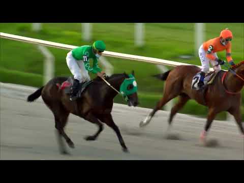 220128 c07 EL BOXEADOR