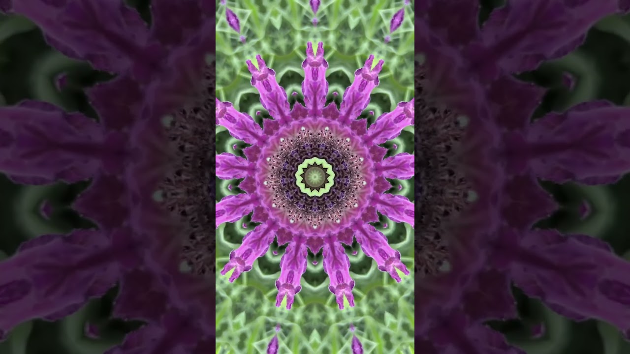 4K FLOWERS KALEIDOSCOPE #effects #design #annoken #visualart  #patterns  #relaxation  #colorful