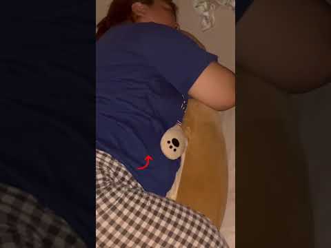 抱き枕の柴犬にトントンされて眠る大人