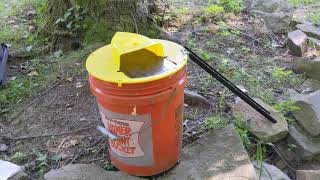 Bucket mouse trap in chicken coop