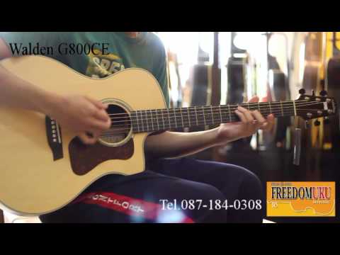 Review Guitar กีตาร์โปร่งไฟฟ้า Walden G800CE by Freedom Uku