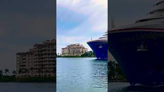 Carnival Celebration 🛳️ #share #like #subscribe #comment #cruise #vacation #shortvideo #shortsvideo