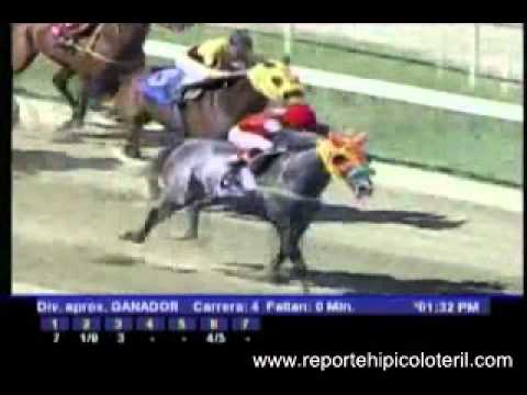 Resumen Sábado 05 de Noviembre de 2011 - La Rinconada