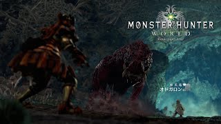 表皮がちょっとなぁ…　「Monster Hunter WORLD」 part7