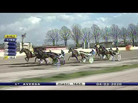 Aversa trotto 4 Marzo 2020 - 1° Corsa