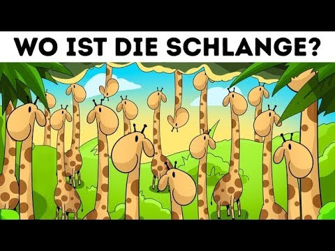 6 Suchbilder, die deine Aufmerksamkeit auf die Probe stellen