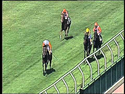 Galoppo 01/06/2015 - 2° corsa