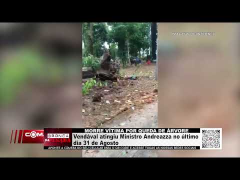 Vítima de queda de árvore morre após vendaval atingir Ministro Andreazza em 31 de agosto, em Cacoal