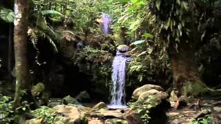 EL YUNQUE NATIONAL RAINFOREST