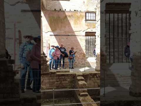 Thumbnail for Diamond Princess Cruises - 5-Port Arthur Sunday 15 December 2024 #4kwalk #cruise #australia