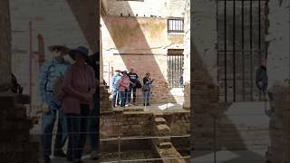 Diamond Princess Cruises - 5-Port Arthur Sunday 15 December 2024 #4kwalk #cruise #australia