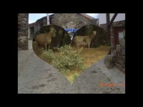 Travanca Vinhais Portugal