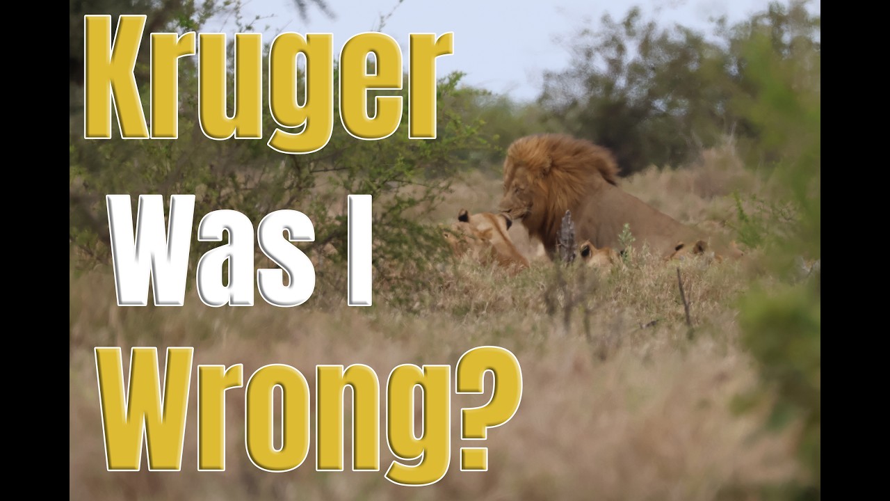 Kruger: Was I Wrong? | Tusk & Tyre Overlanding
