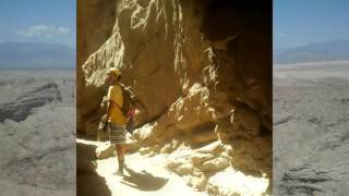 Baby Ginseng - Habits