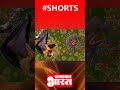 breaking news #shorts baba ramdev nipah virus Lalu Amit sah