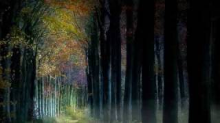 The New Era - A Children's Song/Moonlight Slumbers