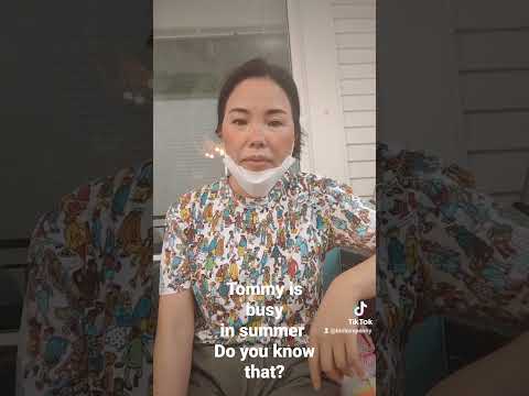 비디오 17