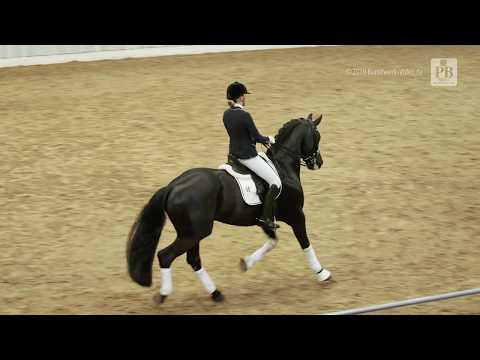 Fantastic und Christin Schütte - 29. PB-Schau in Verden