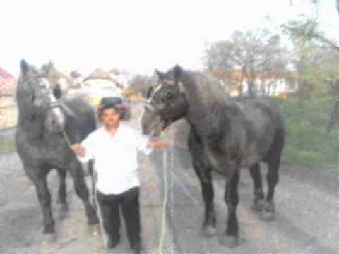 Grofo Asszony Asszony az akarok  lenni♥