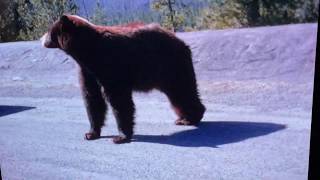 2K Film transfer of 16mm Western Vacation 1960