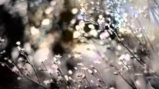 Bobby Goldsboro - Honey (HQ) +lyrics