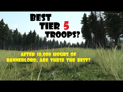Bannerlord's Underrated Units - Is THIS the best Tier 5 unit in Calradia??