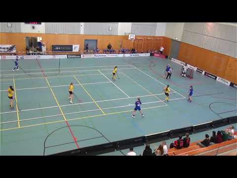 T18 SM-karsinta lohko A PSS -  TIIKERIT